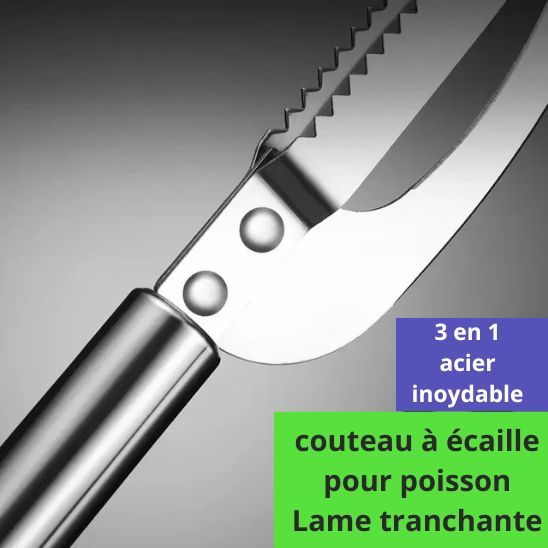 Couteau pour poisson écailles-scale ™